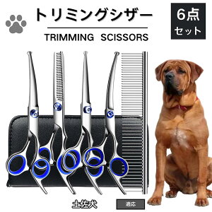 y5{|Cgzy y g~O VU[  L nT~ ͂ g~OVU[ XLoT~ ZjO Jbg U ybg ^ ^ ^ g}[ R[  e S