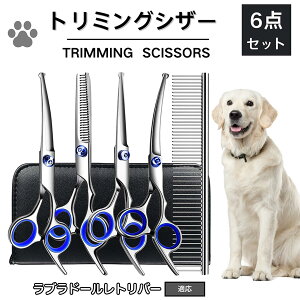 y5{|Cgzuh[go[ u g~O VU[  L nT~ ͂ g~OVU[ XLoT~ ZjO Jbg U ybg ^ ^ ^ g}[ R[ 