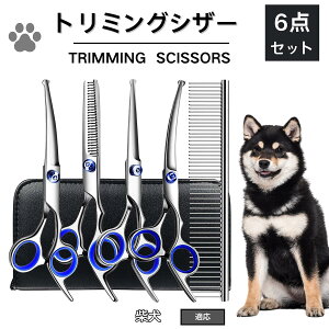 y5{|CgzČ  g~O VU[  L nT~ ͂ g~OVU[ XLoT~ ZjO Jbg U ybg ^ ^ ^ g}[ R[  e S 