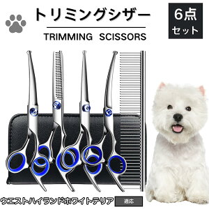 y5{|CgzEGXgnChzCgeA g~O VU[  L nT~ ͂ g~OVU[ XLoT~ ZjO Jbg U ybg ^ ^ ^ g}[ R