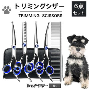 y5{|CgzViEU[ Vi g~O VU[  L nT~ ͂ g~OVU[ XLoT~ ZjO Jbg U ybg ^ ^ ^ g}[ R[ 