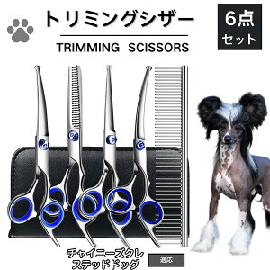 y5{|Cgz`Cj[YNXebhhbO `CN g~O VU[  L nT~ ͂ g~OVU[ XLoT~ ZjO Jbg U ybg ^ ^ ^ g