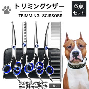 y5{|CgzAJX^btH[hV[eA g~O VU[  L nT~ ͂ g~OVU[ XLoT~ ZjO Jbg U ybg ^ ^ ^ g}