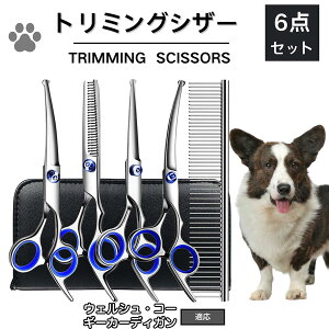 y5{|CgzEFVR[M[J[fBK g~O VU[  L nT~ ͂ g~OVU[ XLoT~ ZjO Jbg U ybg ^ ^ ^ g}[ R[