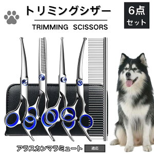 y5{|CgzAXJ}~[g }~[g g~O VU[  L nT~ ͂ g~OVU[ XLoT~ ZjO Jbg U ybg ^ ^ ^ g}[ 