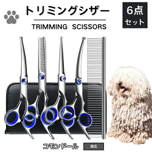 y5{|CgzRh[ Rh[ g~O VU[  L nT~ ͂ g~OVU[ XLoT~ ZjO Jbg U ybg ^ ^ ^ g}[ R[ 