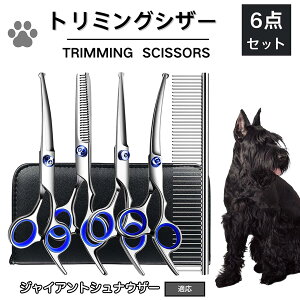 y5{|CgzWCAgViEU[ WCAgVi g~O VU[  L nT~ ͂ g~OVU[ XLoT~ ZjO Jbg U ybg ^ ^ ^ 