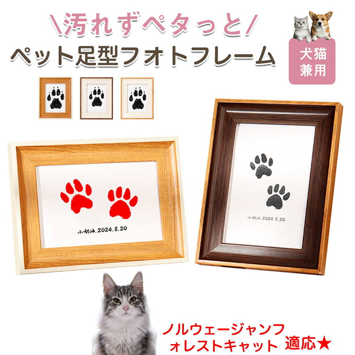 楽天市場】【5倍ポイント】 ノルウェージャンフォレストキャット猫 