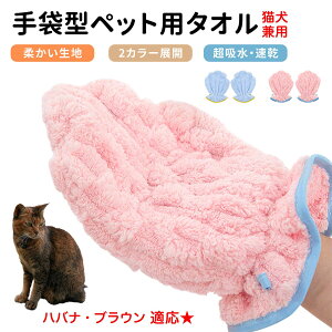 y10{|CgznoiuEL noi ybgpoX^I z  O[~OO[u  L hC^I Lp z܃^I ybgpO[u^I hC[^I y