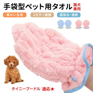 y10{|Cgz^Cj[v[h ^Cj[v[ ybgpoX^I z  O[~OO[u  L hC^I Lp z܃^I ybgpO[u^I hC[