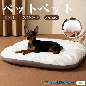 y10{|Cgz~j`AsV[ ~js ybgxbh ybg\t@ ybgNbV  L  ˂ xbh \t@ NbV p Lp ېOK \ Jo[t h R