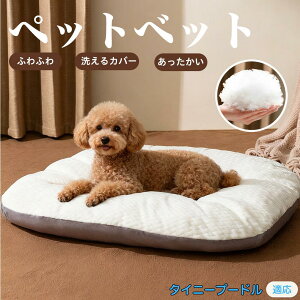 y5{|Cgz^Cj[v[h ^Cj[v[ ybgxbh ybg\t@ ybgNbV  L  ˂ xbh \t@ NbV p Lp ېOK \ Jo[t h R