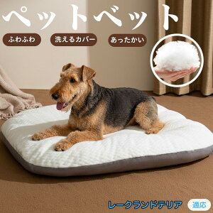 y5{|Cgz[NheA [Nh ybgxbh ybg\t@ ybgNbV  L  ˂ xbh \t@ NbV p Lp ېOK \ Jo[t h 