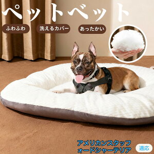 y5{|CgzAJX^btH[hV[eA ybgxbh ybg\t@ ybgNbV  L  ˂ xbh \t@ NbV p Lp ېOK \ Jo[t 