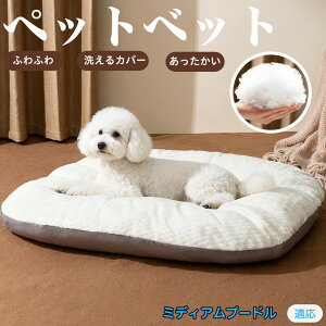 y5{|Cgz~fBAv[h ~fBAv[ ybgxbh ybg\t@ ybgNbV  L  ˂ xbh \t@ NbV p Lp ېOK \ Jo[t h