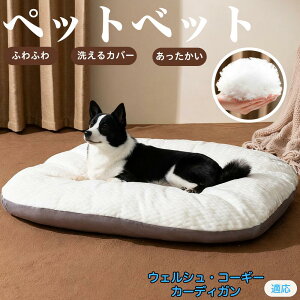 y5{|CgzEFVR[M[J[fBK ybgxbh ybg\t@ ybgNbV  L  ˂ xbh \t@ NbV p Lp ېOK \ Jo[t h 