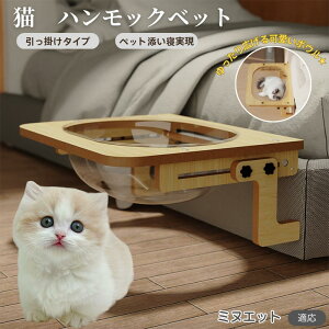 y5{|Cgz~kGbgL ~kG L xbh ؐnbN ӗp xbhnbN Lpxbh P[WΉ LnbN FD{E h[^ | Ɏt 