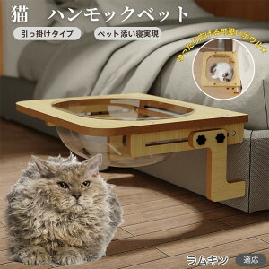 y5{|CgzLL L L xbh ؐnbN ӗp xbhnbN Lpxbh P[WΉ LnbN FD{E h[^ | Ɏt 