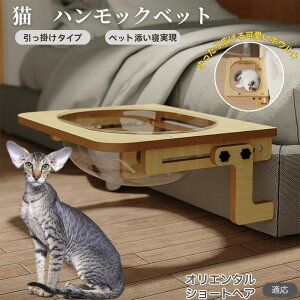 y5{|CgzIG^V[gwAL IV L xbh ؐnbN ӗp xbhnbN Lpxbh P[WΉ LnbN FD{E h[^ | 