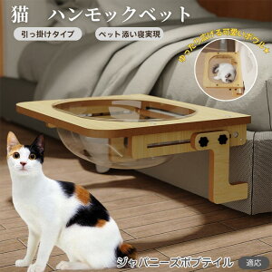 y10{|CgzWpj[Y{ueCL Wp{u L xbh ؐnbN ӗp xbhnbN Lpxbh P[WΉ LnbN FD{E h[^ | 