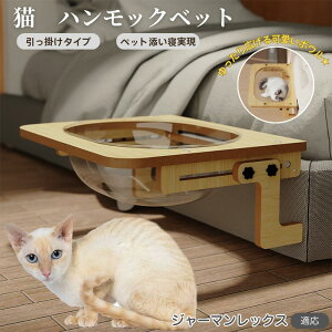 y10{|CgzW[}bNXL W[} L xbh ؐnbN ӗp xbhnbN Lpxbh P[WΉ LnbN FD{E h[^ | 