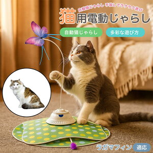 y10{|CgzK}tBL K}tB d L炵 USB[d 3iK[h Ht mgC ԊOZT[ p É ЂƂV COK ԃT|[g XgXU 