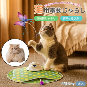 y5{|CgzyVL yV d L炵 USB[d 3iK[h Ht mgC ԊOZT[ p É ЂƂV COK ԃT|[g XgXU {\h