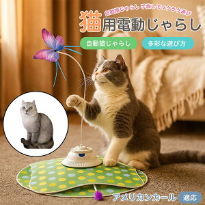 【10倍ポイント】アメリカンカール猫 アメカール 電動 猫じゃらし USB充電 3段階モード 羽根付き 知育トイ 赤外線センサー 室内用 静音 ひとり遊び 複数匹OK 留守番サポート ストレス発散 狩