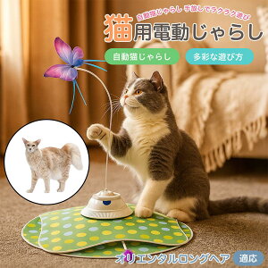 y10{|CgzIG^OwAL I d L炵 USB[d 3iK[h Ht mgC ԊOZT[ p É ЂƂV COK ԃT|[g XgXU