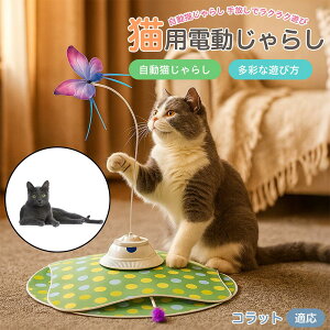 y5{|CgzRbgL Rbg d L炵 USB[d 3iK[h Ht mgC ԊOZT[ p É ЂƂV COK ԃT|[g XgXU {\h