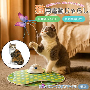 y5{|CgzWpj[Y{ueCL Wp{u d L炵 USB[d 3iK[h Ht mgC ԊOZT[ p É ЂƂV COK ԃT|[g XgX