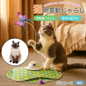 y5{|Cgzoj[YL oj[Y d L炵 USB[d 3iK[h Ht mgC ԊOZT[ p É ЂƂV COK ԃT|[g XgXU {\