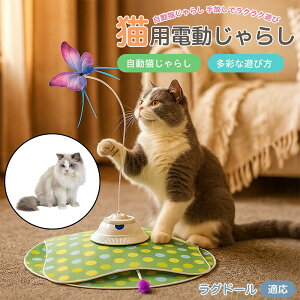 y10{|CgzOh[L O d L炵 USB[d 3iK[h Ht mgC ԊOZT[ p É ЂƂV COK ԃT|[g XgXU {\h