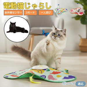 y5{|Cgz{xCL {xC L  d  L炵 ЂƂV  Ht [d 3iK[h mgC ԊOZT[ CΉ XgXU {