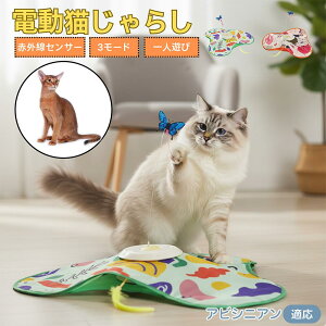 y5{|CgzArVjAL Ar L  d  L炵 ЂƂV  Ht [d 3iK[h mgC ԊOZT[ CΉ XgXU {\