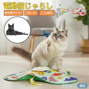 y5{|CgzRbgL Rbg L  d  L炵 ЂƂV  Ht [d 3iK[h mgC ԊOZT[ CΉ XgXU {