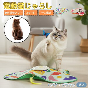 y5{|CgznoiuEL noi L  d  L炵 ЂƂV  Ht [d 3iK[h mgC ԊOZT[ CΉ XgXU 