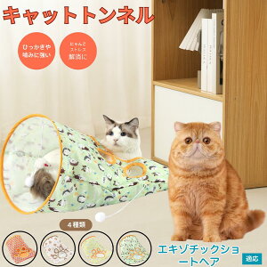 �y5�{�|�C���g�z�G�L�]�`�b�N�V���[�g�w�A�L �G�L�] �L�g���l�� �܂肽���ݎ� �L���b�g�g���l�� �y�b�g�g���l�� ���L���p �����p �������� �B��� �������� �^���s������ �X�g���X���U �R