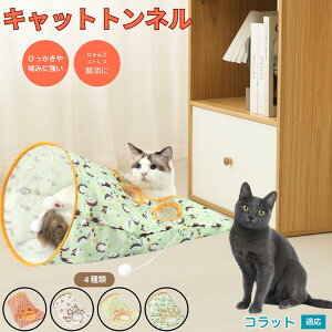 �y5�{�|�C���g�z�R���b�g�L�� �R���b�g �L�g���l�� �܂肽���ݎ� �L���b�g�g���l�� �y�b�g�g���l�� ���L���p �����p �������� �B��� �������� �^���s������ �X�g���X���U �R���p�N�g���[ 