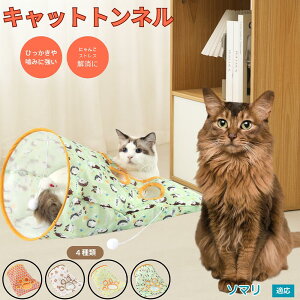 �y5�{�|�C���g�z�\�}���L�� �\�}�� �L�g���l�� �܂肽���ݎ� �L���b�g�g���l�� �y�b�g�g���l�� ���L���p �����p �������� �B��� �������� �^���s������ �X�g���X���U �R���p�N�g���[ ��