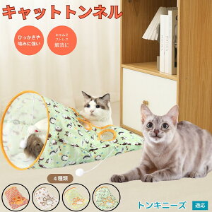 �y5�{�|�C���g�z�g���L�j�[�Y�L�� �g���L �L�g���l�� �܂肽���ݎ� �L���b�g�g���l�� �y�b�g�g���l�� ���L���p �����p �������� �B��� �������� �^���s������ �X�g���X���U �R���p�N�g��