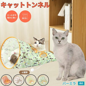 �y5�{�|�C���g�z�o�[�~���L�� �o�[�~�� �L�g���l�� �܂肽���ݎ� �L���b�g�g���l�� �y�b�g�g���l�� ���L���p �����p �������� �B��� �������� �^���s������ �X�g���X���U �R���p�N�g���[ 