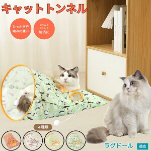 �y5�{�|�C���g�z���O�h�[���L�� ���O �L�g���l�� �܂肽���ݎ� �L���b�g�g���l�� �y�b�g�g���l�� ���L���p �����p �������� �B��� �������� �^���s������ �X�g���X���U �R���p�N�g���[ ��