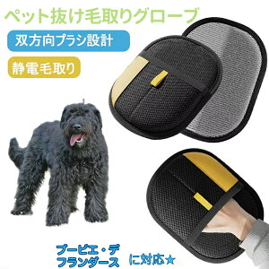 y5{|CgzybgpÓdC ybgpюO[u u[rGft_[X u[rG L̖ю ybgpiybg uV  O[uybg L  N[i[ т