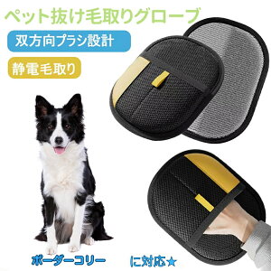 y5{|CgzybgpÓdC ybgpюO[u {[_[R[ {[_[ L̖ю ybgpiybg uV  O[uybg L  N[i[ тƂ 