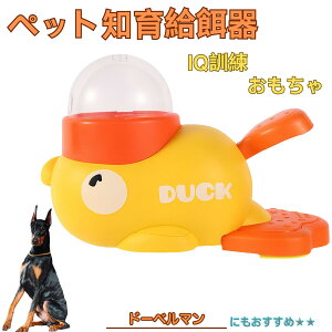 �y5�{�|�C���g�z�h�[�x���}������ �h�[�x�� �A�q�� �m�狋�a�� �m��t�B�[�_�[ �m��ߋ� IQ�g�C �g���[�j���O �y�b�g�p���͂� ����� ���a �������� �a��� ���a�� �􂦂� ����� ���ԂԂ�