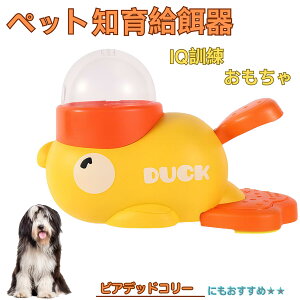 �y5�{�|�C���g�z�r�A�f�b�h�R���[�� �r�A�f�b�h �A�q�� �m�狋�a�� �m��t�B�[�_�[ �m��ߋ� IQ�g�C �g���[�j���O �y�b�g�p���͂� ����� ���a �������� �a��� ���a�� �􂦂� ����� ���Ԃ�