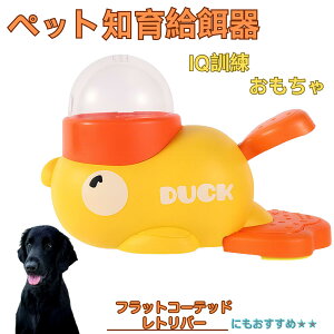 �t���b�g�R�[�e�b�h���g���o�[�� �A�q�� �m�狋�a�� �m��t�B�[�_�[ �m��ߋ� IQ�g�C �g���[�j���O �y�b�g�p���͂� ����� ���a �������� �a��� ���a�� �􂦂� ����� ���ԂԂ� �����ŗV