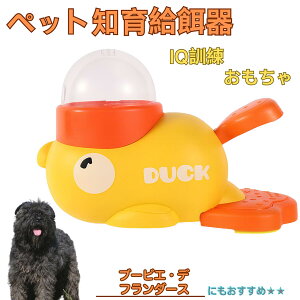 �y5�{�|�C���g�z�u�[�r�G�f�t�����_�[�X�� �u�[�r�G �A�q�� �m�狋�a�� �m��t�B�[�_�[ �m��ߋ� IQ�g�C �g���[�j���O �y�b�g�p���͂� ����� ���a �������� �a��� ���a�� �􂦂� ����� ��