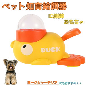 �y5�{�|�C���g�z���[�N�V���[�e���A�� ���[�L�[ �A�q�� �m�狋�a�� �m��t�B�[�_�[ �m��ߋ� IQ�g�C �g���[�j���O �y�b�g�p���͂� ����� ���a �������� �a��� ���a�� �􂦂� ����� ���Ԃ�